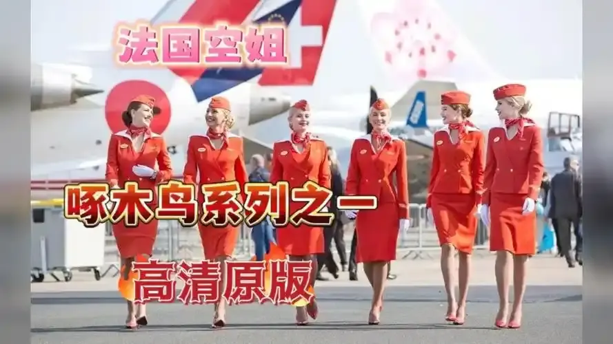 《法国空姐4》资源下载-法国空姐4免费观看高清完整版-法国空姐全季无卡顿在线观看