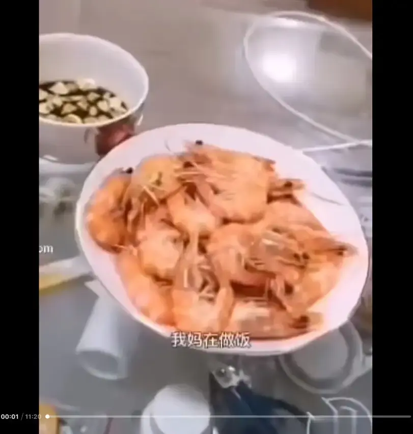 《大虾母子厨房完整版》高清视频资源免费在线看-网盘下载与在线观看-猎奇视频揭开梗的神秘面纱
