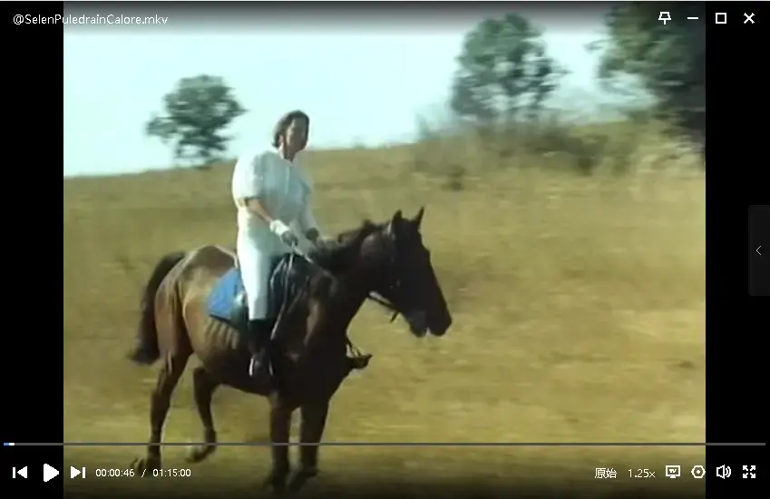 《热带诱惑》高清全集免费在线观看 - 热带孤岛隐秘情愫沉浸式体验 - 《烈情母驹》完整版HD中字在线观看